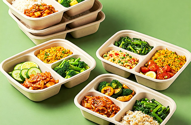 malaysia-takeaway-noleak-box-biodegradable